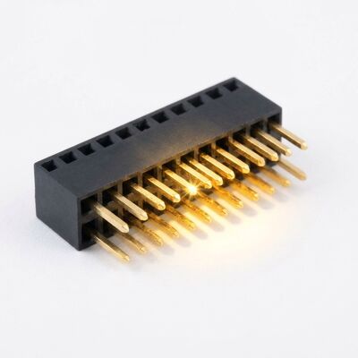 2.54mm Pitch Dual Row Wzniesiony 15mm Kobieta łącznik głowicy